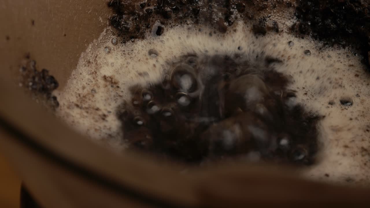 Chicchi di caffè nel filtro per caffè a percolazione mentre si prepara il caffè
