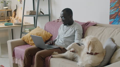 black man video calling on laptop and petting dog on sofa at home