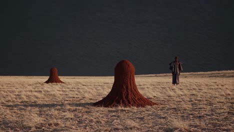 shaman standing in a dry field with termite mounds during a mystical invocation, creating a spiritual atmosphere in the vast african landscape