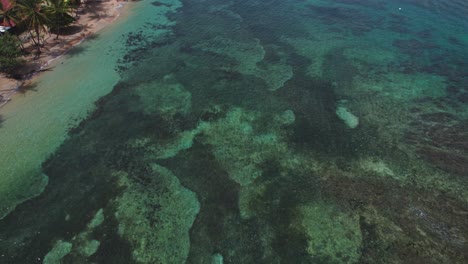 Boca-del-Drago,-a-turquoise-tourism-beaches-in-Bocas-del-Toro,-Panama---stock-video