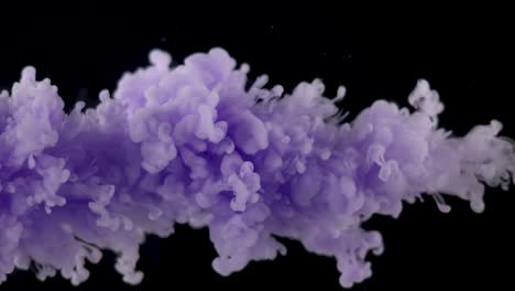 lilac paint in water
