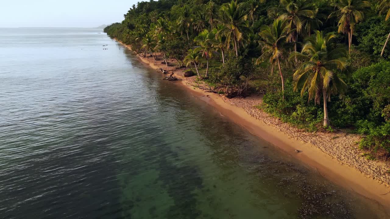 tomada aérea de la arena blanca en el complejo de la playa de mamangal con exuberantes palmeras durante el anochecer