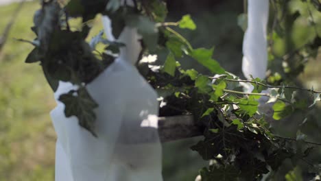 wedding decoration swing moving on windy day, slow motion detail shot, sunny day