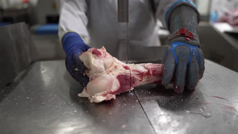 Cow-leg-bone-being-sliced-by-a-linear-saw-at-a-meat-processing-plant-by-worker,-Close-up-shot