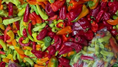 una variedad colorida de chiles frescos en una exhibición rústica.