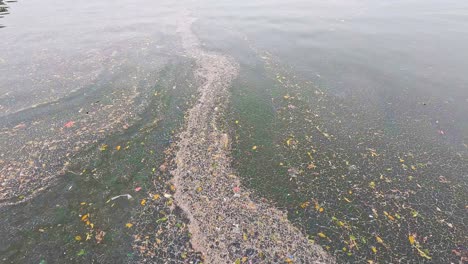 floating debris and pollution in west lake