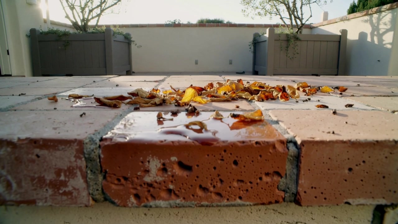 Pulling low-angle camera revealing wet leaves and shiny puddle on brick patio, showing planters