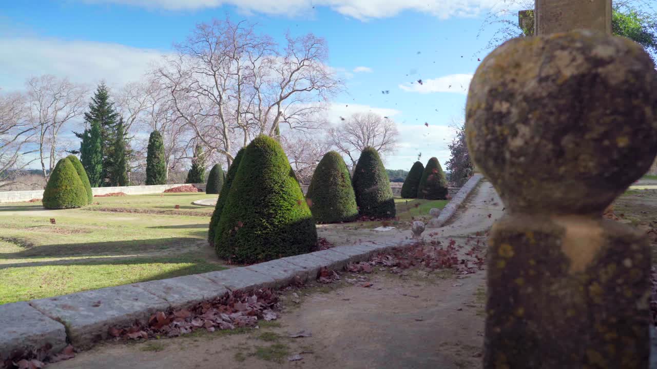 프랑스의 빈 관광 광장, covid-19 대유행 봉쇄 기간 동안 버려진, 화창한 날 강한 바람이 갈색 잎을 불고 있습니다.