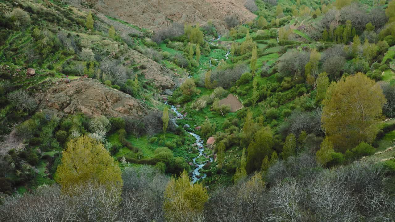 강은 높은 아틀라스 산맥, 모로코, 공중에 있는 녹색 비옥한 계곡에서 흐릅니다.