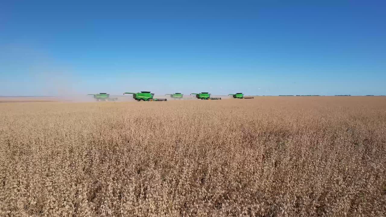 las cosechadoras levantando el maíz del campo, vista aérea