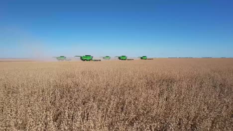 harvesters lifting corn from the field, aerial view