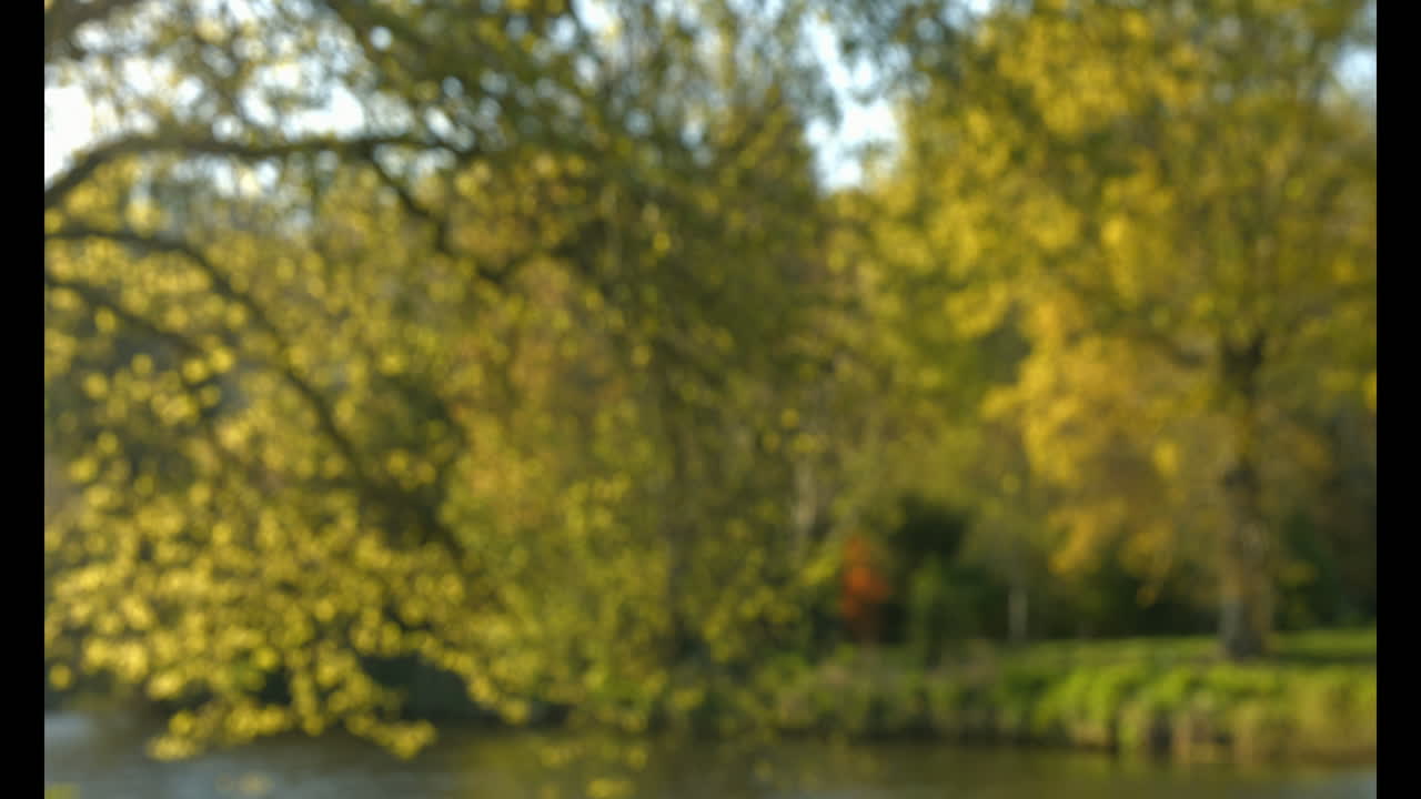 hermosa vista del río y su orilla