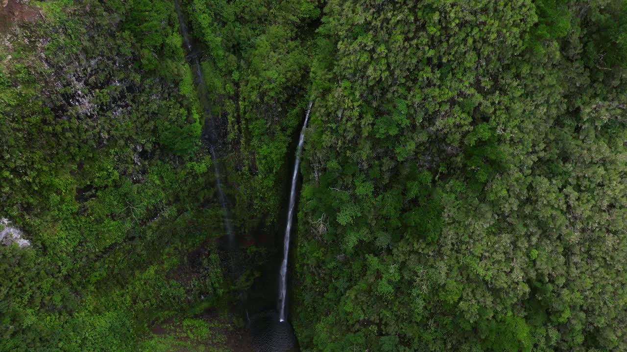escarpadas montañas con cascadas en levada do caldeirão verde en la isla de madeira, portugal