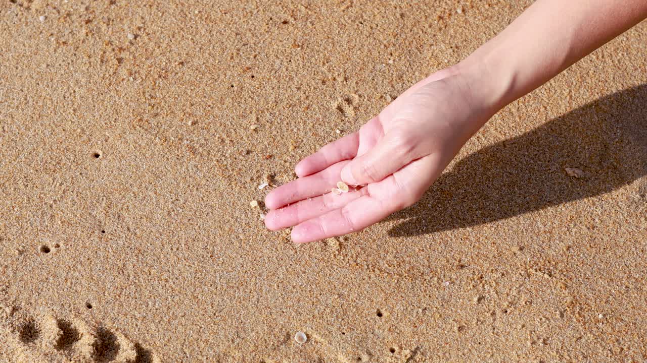 Hands gently gather small shells on a sunlit Phuket beach, capturing a serene moment of nature interaction