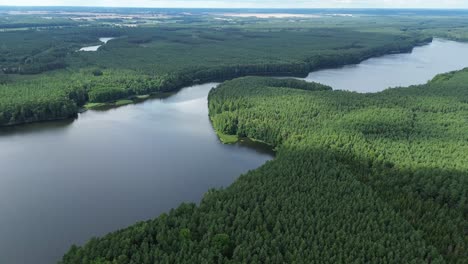 Majestuoso-Lago-En-El-Bosque-Europeo-Verde-Día-Soleado-Vista-Aérea-Circulante