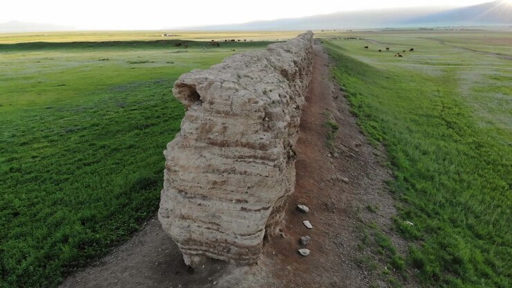 Vista aerea di rovine di un antico muro di pietra in un campo verde