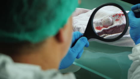 crime lab worker examines evidence on clothes