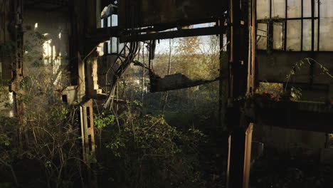 nature is taking back old abandoned industrial collapsing factory