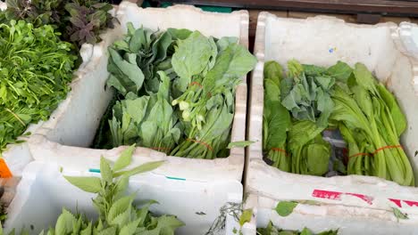 variety of fresh greens displayed at fruit market