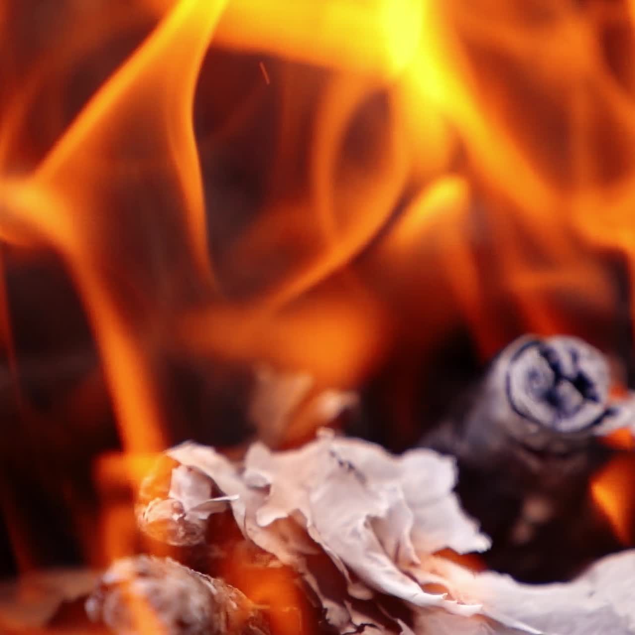 Orange flame background. Beautiful motion of vivid fire flame over the wooden logs. Charcoals in bright fire. Close-up. Slow motion.