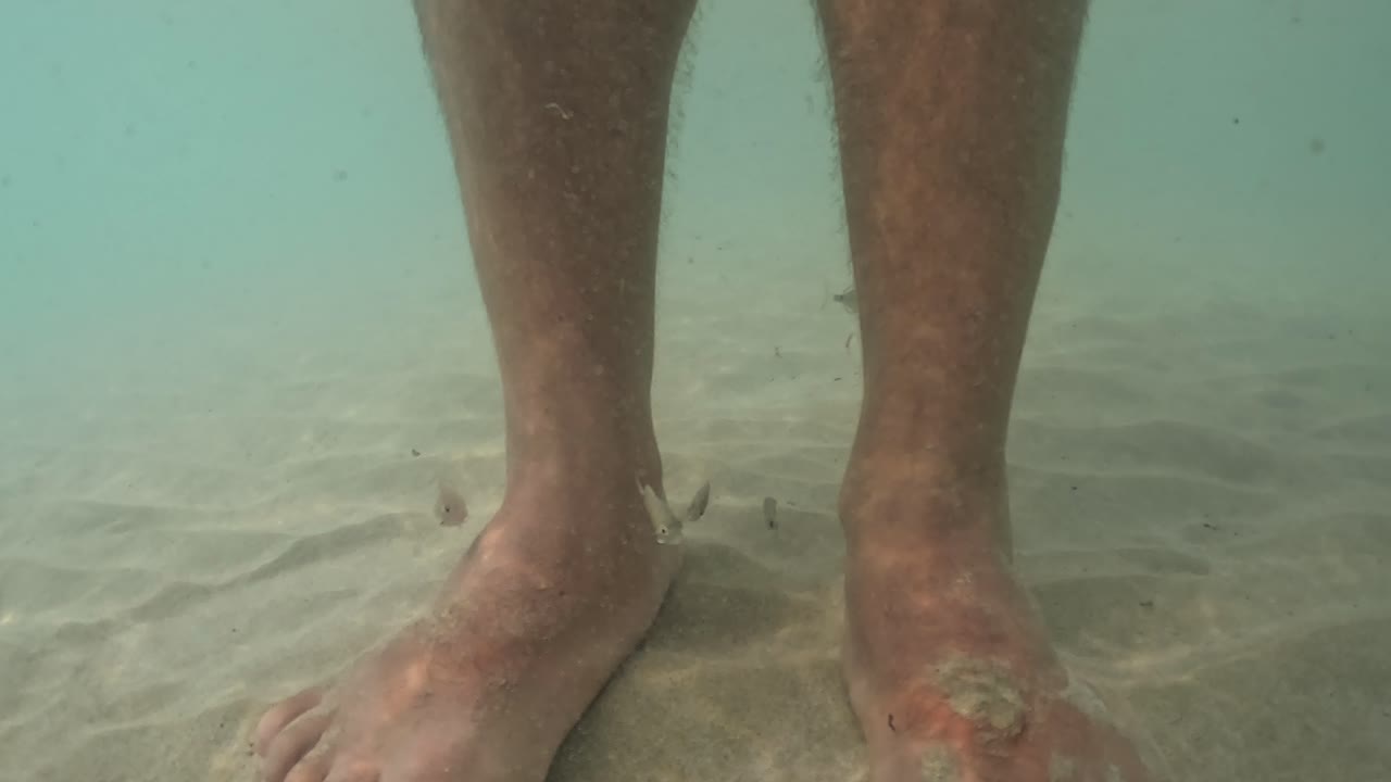 Slow motion, prospettiva subacquea di piccoli pesci affamati che attaccano e si nutrono della pelle di gambe e piedi umani in acqua di mare limpida.