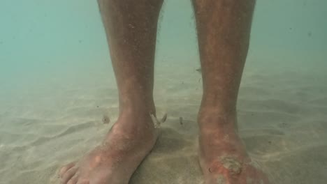 slow motion underwater pov of small hungry fish attacking and eating human legs and feet skin in clear seawater