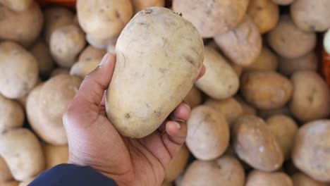 hand holding a potato