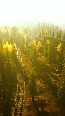 train tracks through autumn forest