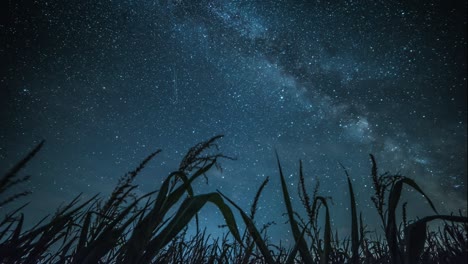 el lapso de tiempo del cielo nocturno