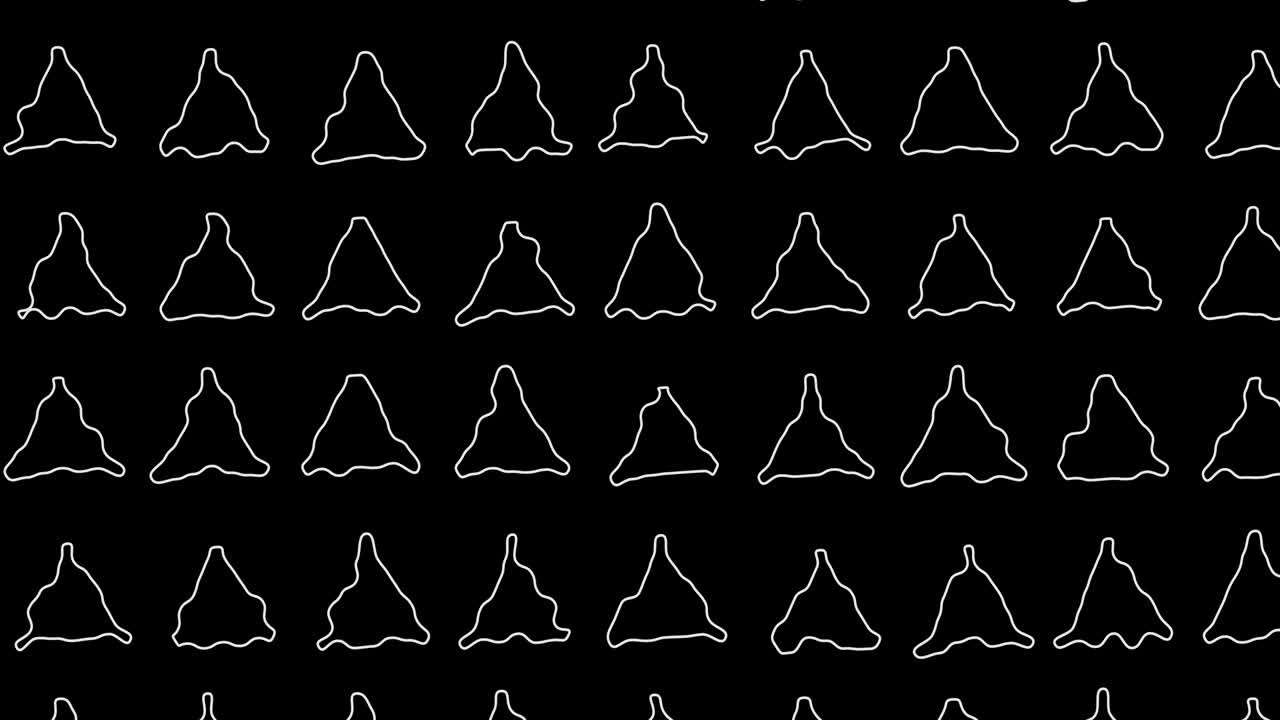 모션 그래픽과 결혼식의 아름다운 패턴