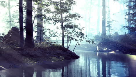 Serene twilight in a mystical forest beside a tranquil river