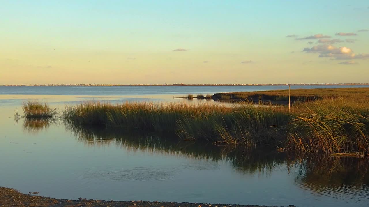 hd 120 fps panorámica de izquierda a derecha desde la vista del canal con hierba alta para revelar el horizonte de la ciudad atlántica en la distancia con cielo mayormente despejado cerca de la hora dorada