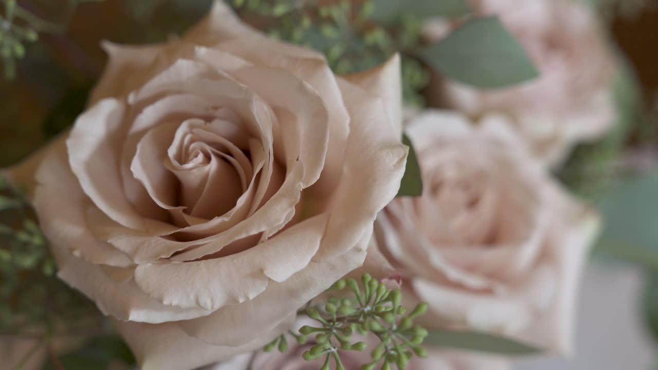 el tiempo pasa por la toma de estilo de transición de rosa blanca