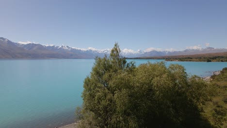 overgrown banks at lake pukaki in sunshine