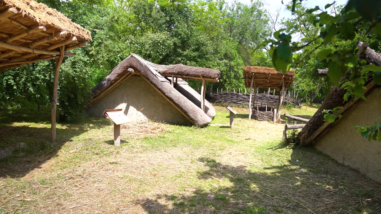 Multiple thatched huts and covered structures in a forest clearing folk settlement