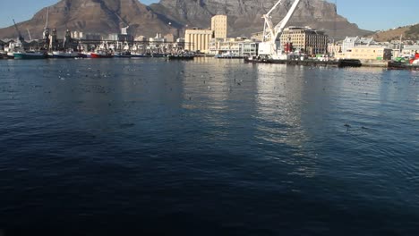 cape town harbour with table mountain in background