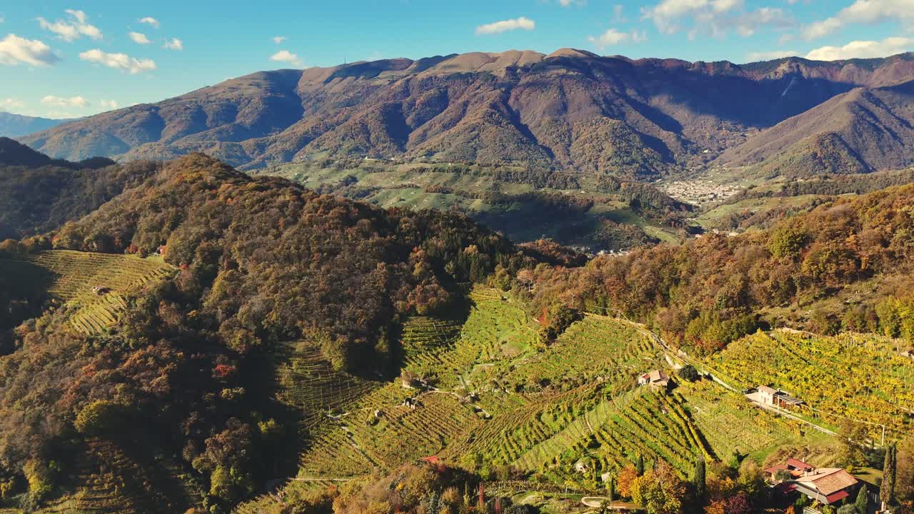 Veduta panoramica aerea del paesaggio sulle colline del Prosecco italiane, filari di vigneti, con le Alpi sullo sfondo