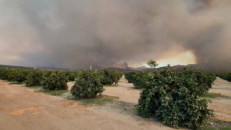 wildfire heavy smoke covering up the sky