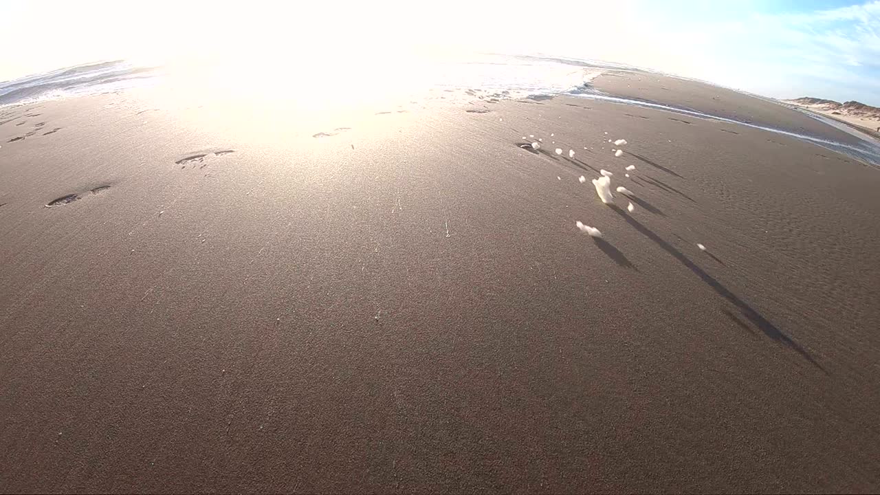 해변에서 폭풍의 해조류 거품, 느린 동작, 모래 해변, 북해, jütland, søndervig, 덴마크, 4k