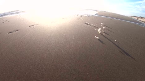 algae foam in storm on the beach in slow motion, sandy beach, north sea, jütland, sondervig, denmark, 4k