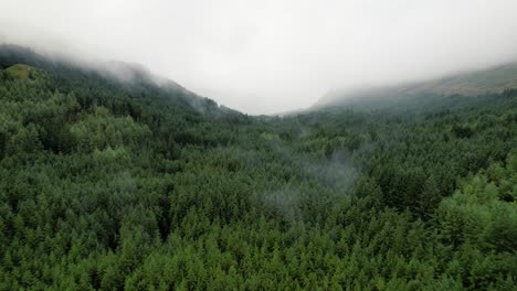 Nubes-Bajas-Entre-El-Bosque-Verde-En-El-Desierto-Escocés-En-Una-Mañana-Nublada