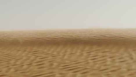 paisaje de dunas de arena del desierto