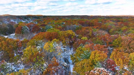 a look at the tree tops after a freak halloween snow storm