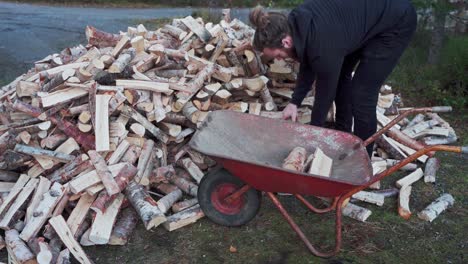 mann belädt die rote schubkarre mit gehacktem holz