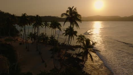 Leerer-Strand-Mit-Hohen-Palmen-Bei-Goldenem-Sonnenuntergang-In-Der-Dominikanischen-Republik