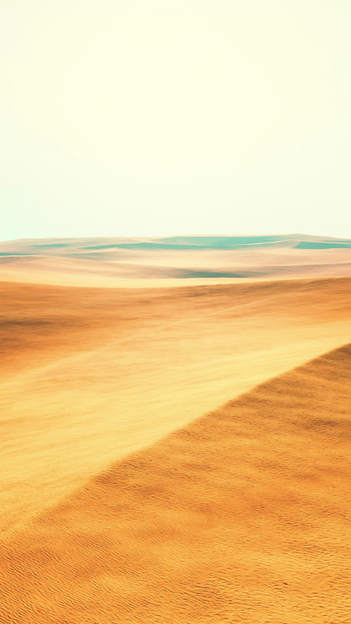 황금 사막 풍경