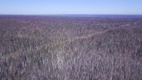 aerial view of a snowy forest