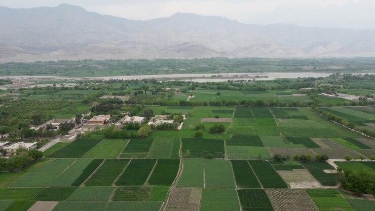 Stunning Aerial View of Afghanistan&#039;s Lush Farmland