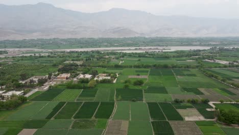 impresionante vista aérea de las exuberantes tierras de cultivo de afganistán