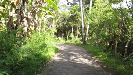 Paseo-En-Primera-Persona-Por-La-Calle-Dentro-De-La-Jungla-Verde-Tropical-De-Bali,-Indonesia,-Vegetación-Asiática,-árboles,-Hojas-Y-Bosques-Frondosos